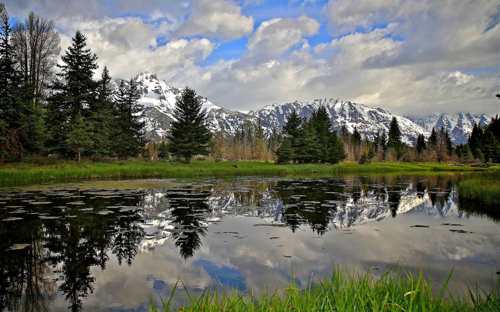 A view of a lake with a mountain in the background (tree, reflection, nature, wilderness, water)