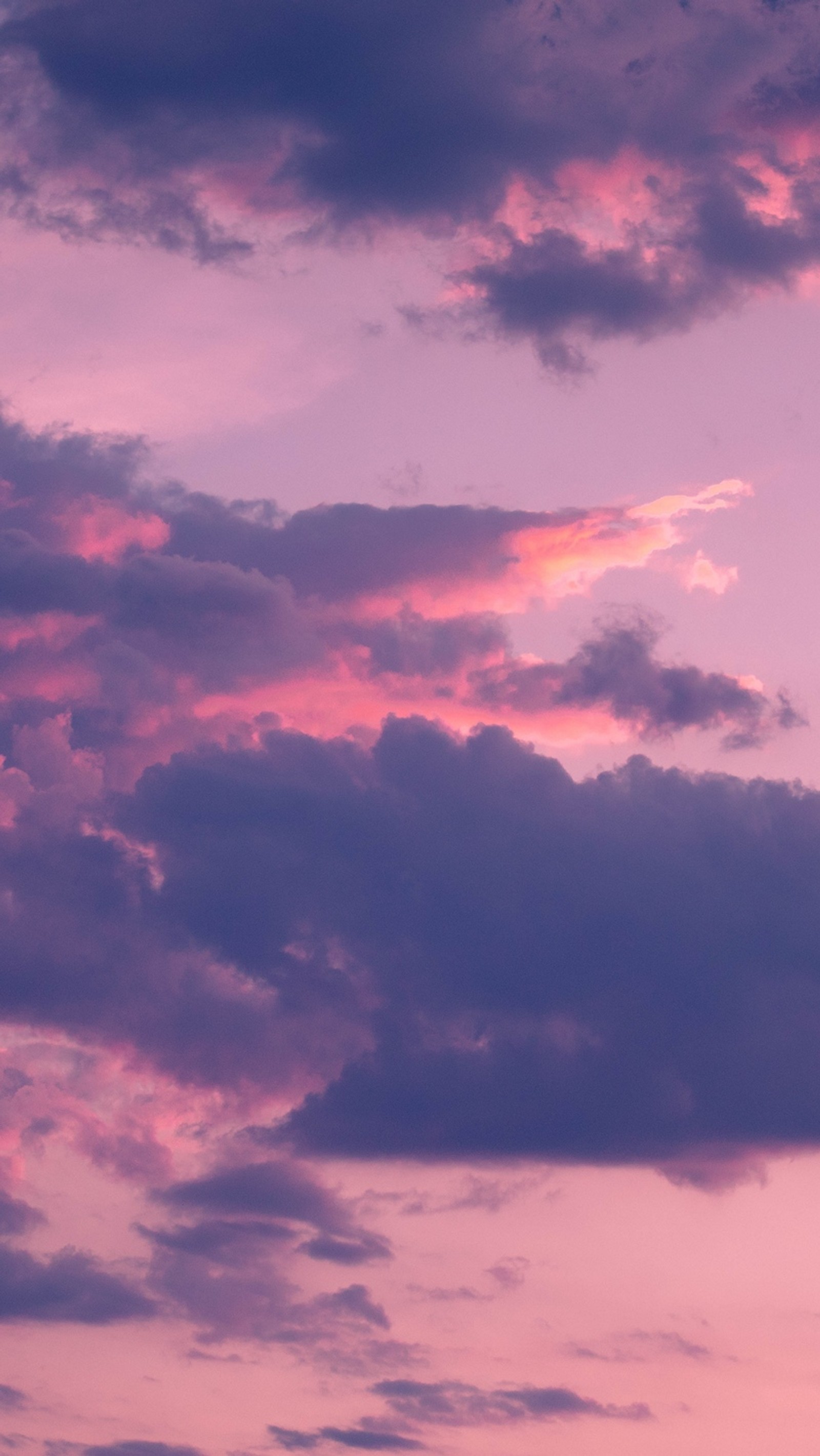 Des nuages violets et roses dans le ciel avec un avion volant au loin (nuage, coucher de soleil, esthétique, atmosphère, violet)