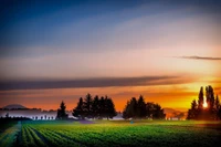 Pôr do sol sereno sobre campos exuberantes e árvores silhuetadas