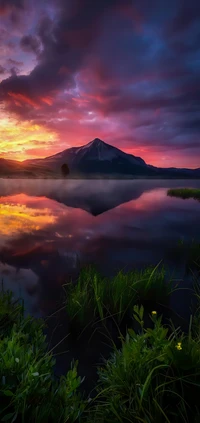 nuage, eau, ressources en eau, plante, atmosphère