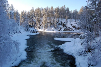 финляндия, зима, снег, вода, замораживание