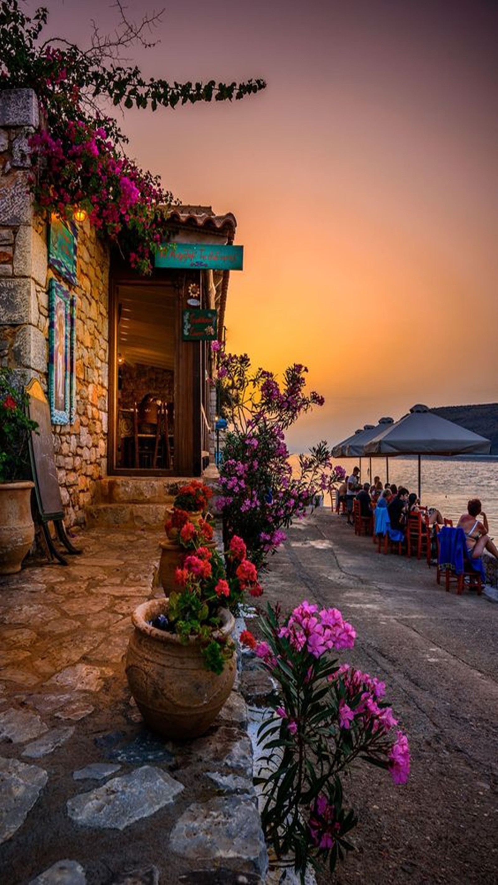 Una vista de un restaurante con flores y personas sentadas en mesas. (paisaje, naturaleza)