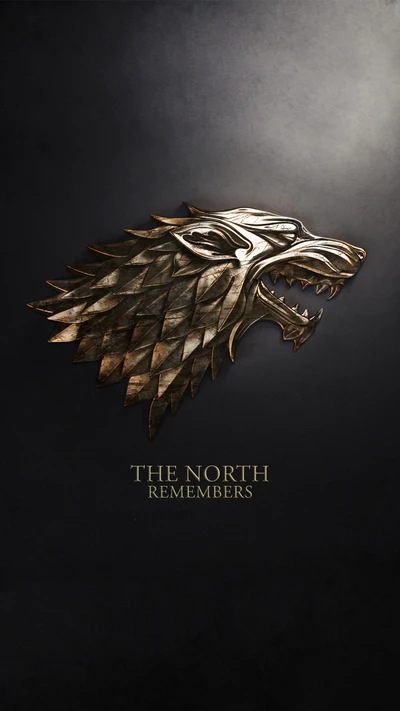 direwolf, gameofthrones, got, jonsnow, northremembers