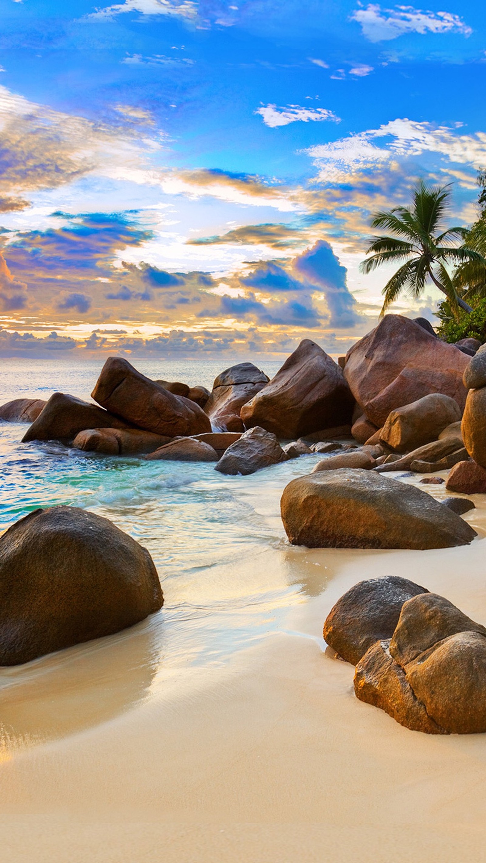 Hay una imagen de una playa con rocas y palmeras (playa, cala, privado)