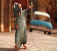 funny, hd, rat wallpaper