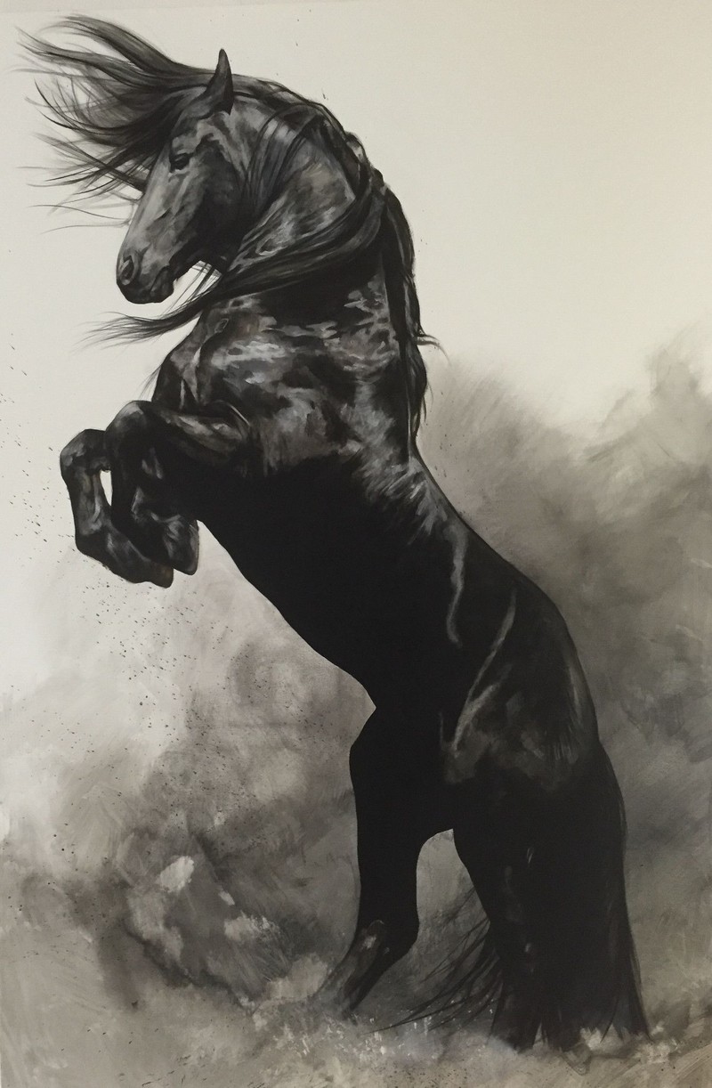 Pintura de un caballo negro levantándose en la arena (4k, increíble, belleza, negro, hd)