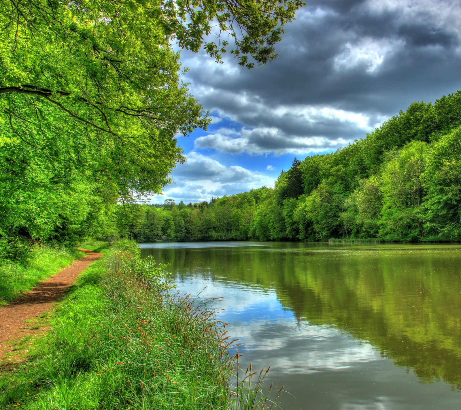 Lade wolke, hd, fluss, baum, tropen Hintergrund herunter