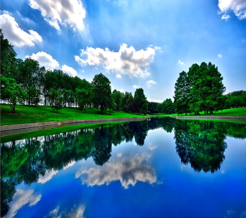 Trees are reflected in the water of a pond in a park (nature)