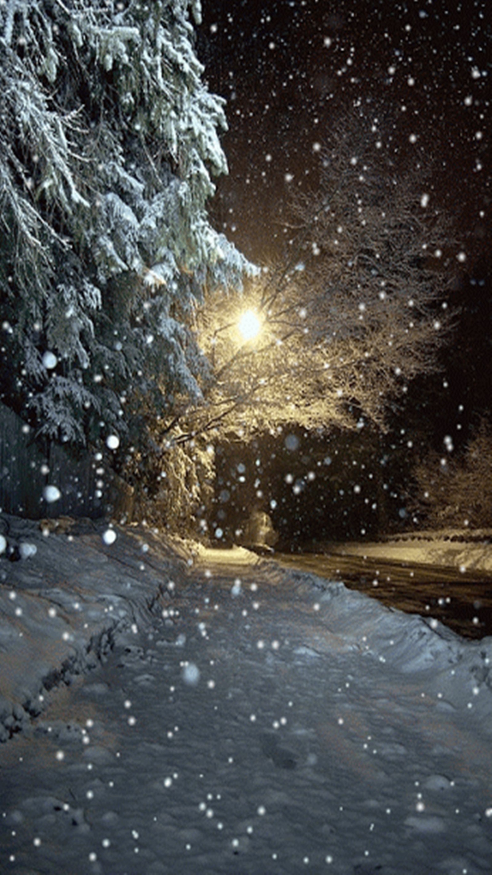 Une scène nocturne enneigée avec un lampadaire et des arbres en arrière-plan (paysage, neige)