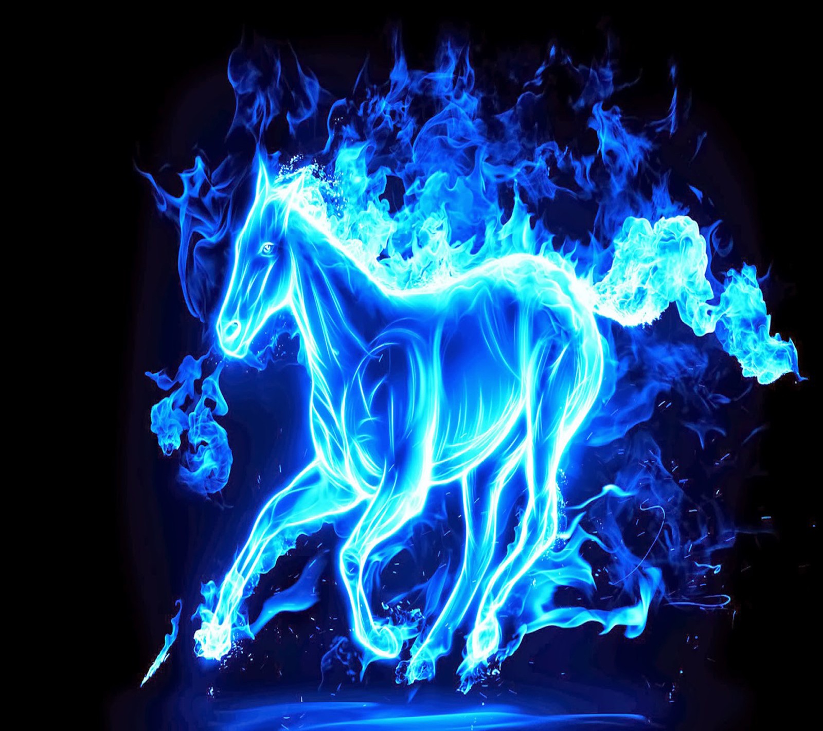 blue, horse wallpaper