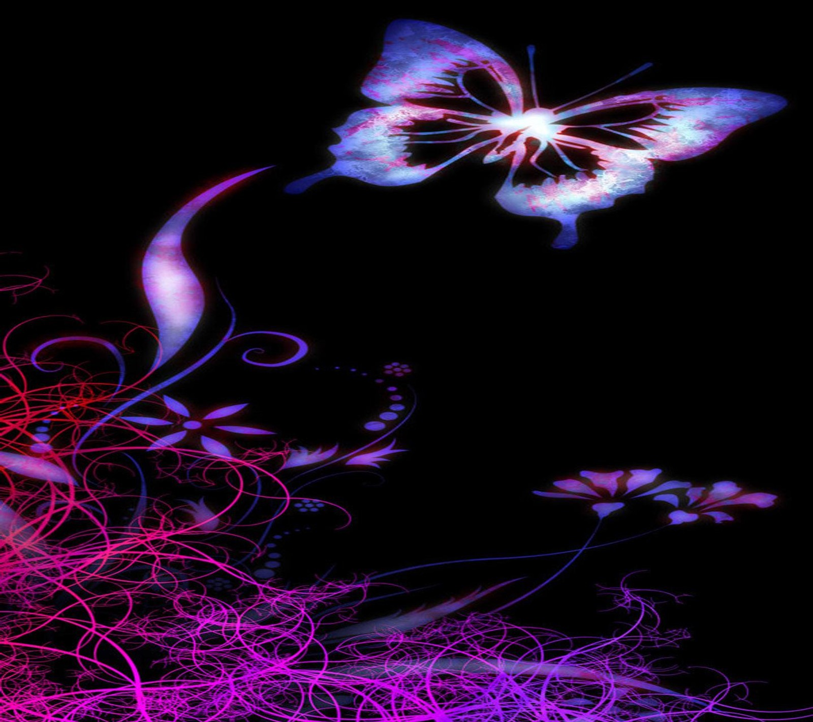 Download butterfly, wallpaper for free