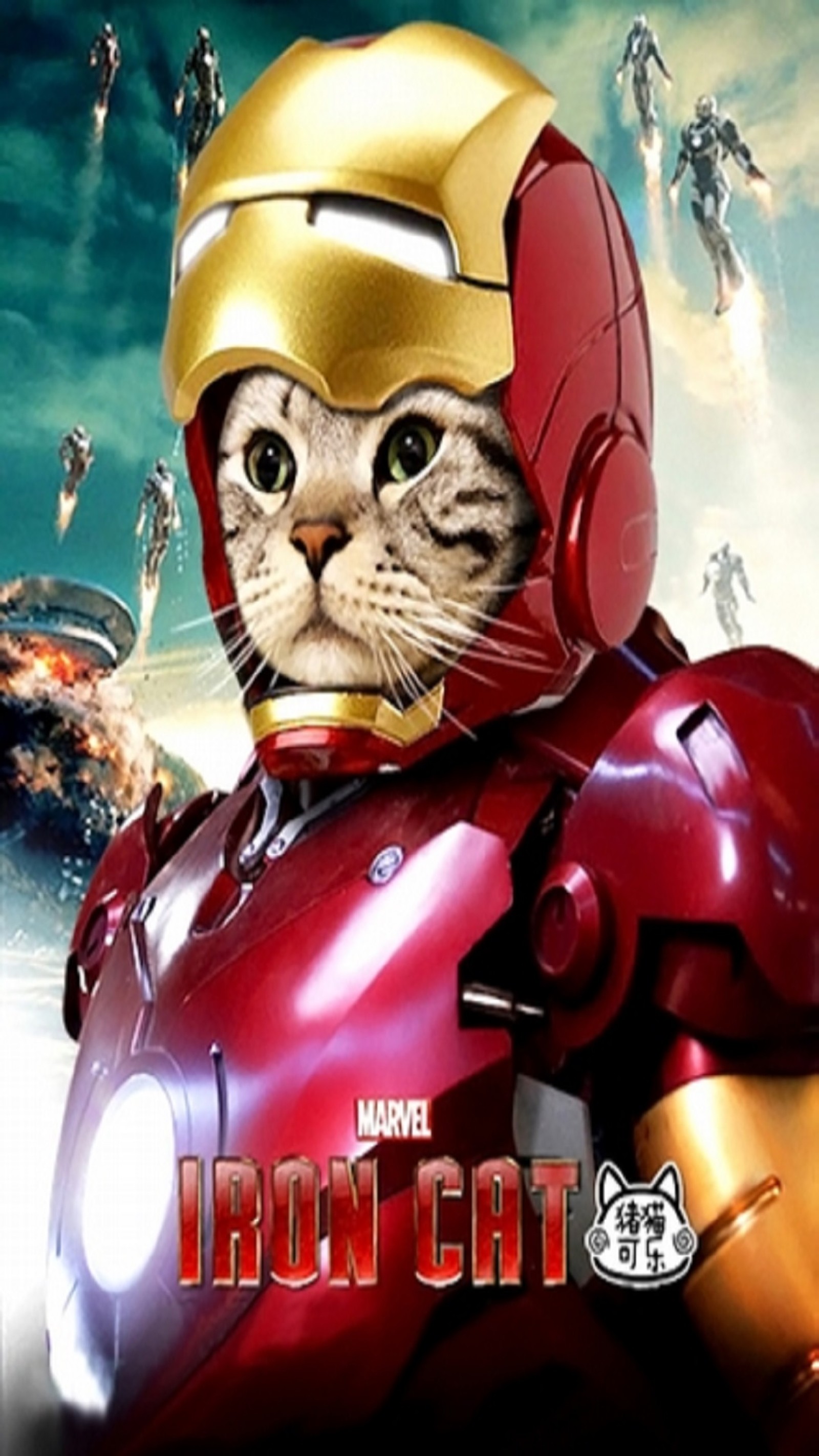 cat, iron wallpaper