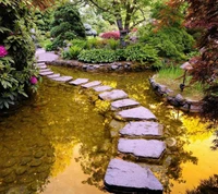 Ruhiger Weg durch eine friedliche Gartenlandschaft