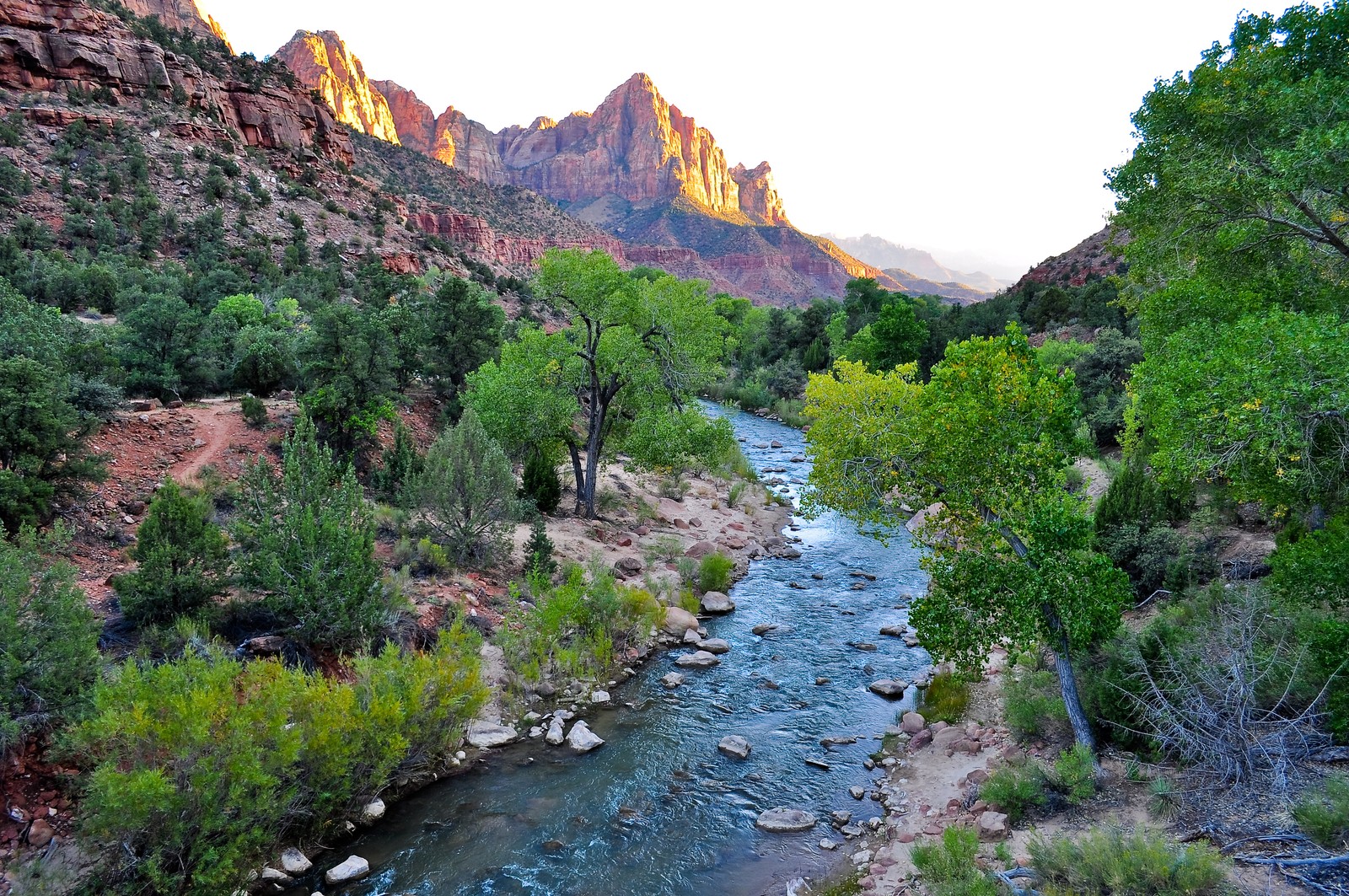 Une vue d'une rivière traversant une forêt verte luxuriante (parc national de zion, zion national park, parc national des arches, parc national, parc)