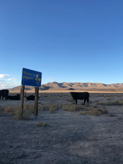 usa, nevada, death valley, death valley nationalpark, death valley national park