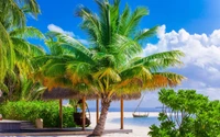 Tropical paradise with lush palm trees, sandy shore, and serene sea under a vibrant sky.