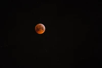 Luna de sangre durante un eclipse lunar: un espectáculo celestial en el cielo nocturno