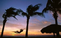 Gelassener Sonnenuntergang über einem tropischen Strand mit Palmen und Hängematte