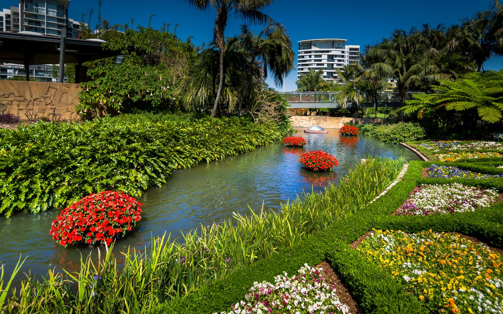 Descargar fondo de pantalla pensamiento, naturaleza, jardín, jardín botánico, vegetación