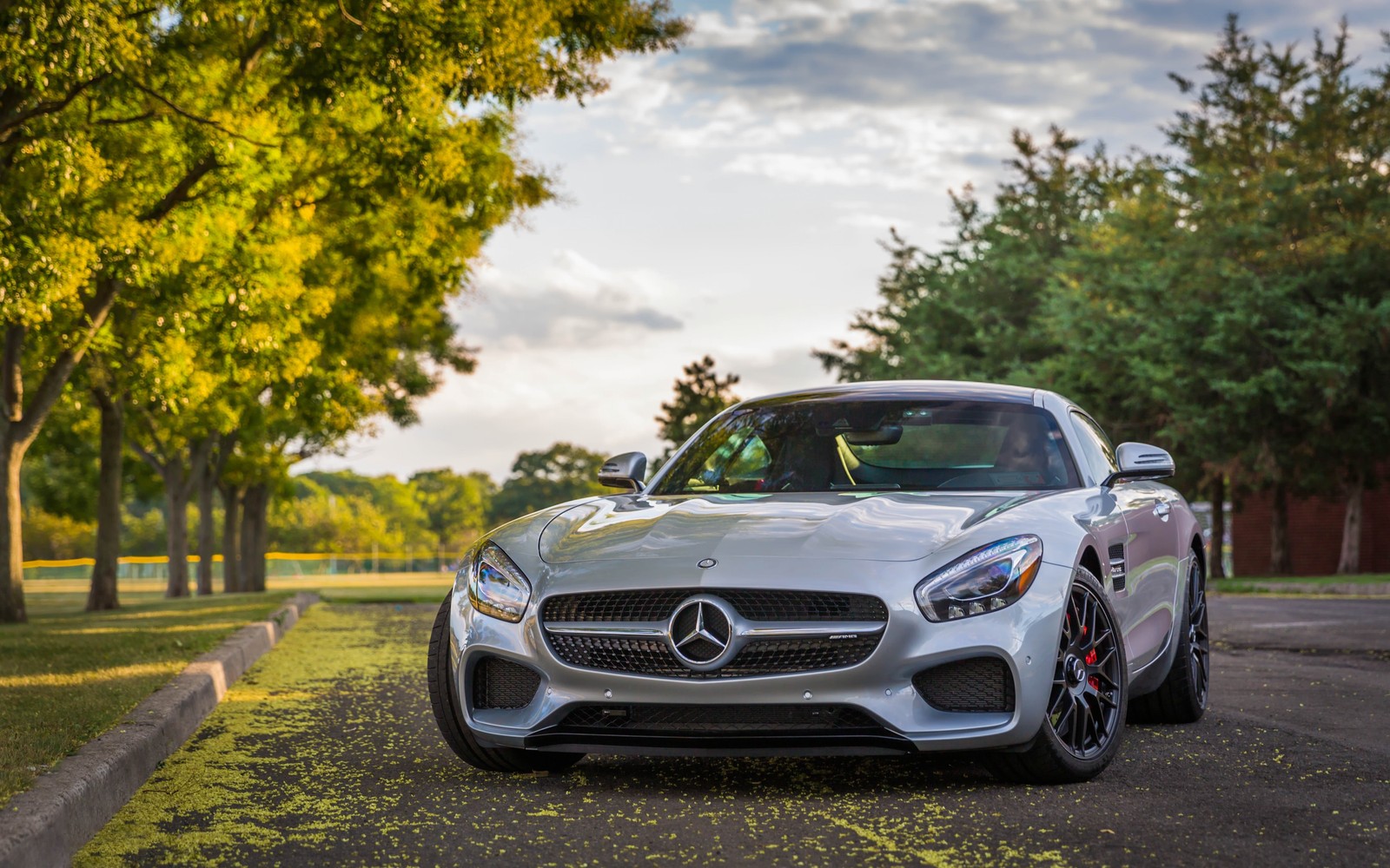 A mercedes sls amg parked on a road in front of trees (sports car, car, wheel, sportscar, grand tourer)