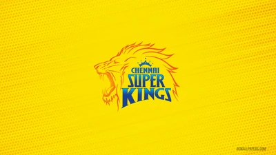 шаннай супер кингс, chennai super kings, индийская премьер лига, indian premier league, ipl