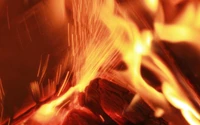 Close-Up of Dancing Flames in a Wood Fireplace