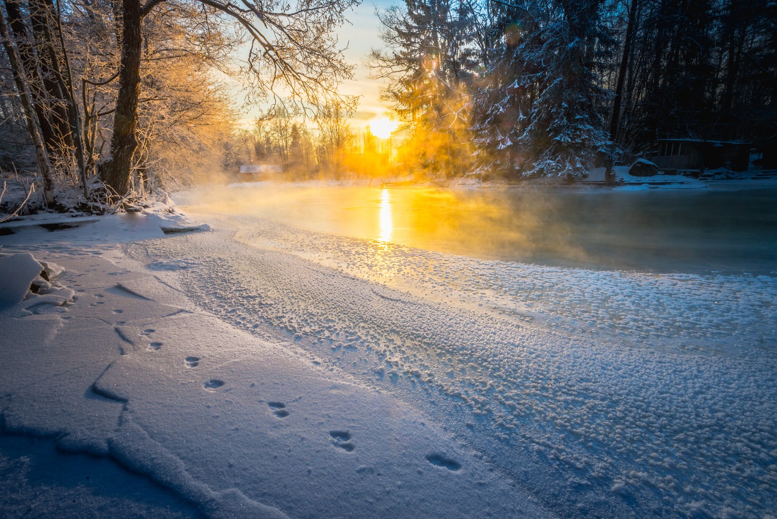 Река со снегом и деревьями на фоне на закате (снег, зима, природа, замораживание, свет)