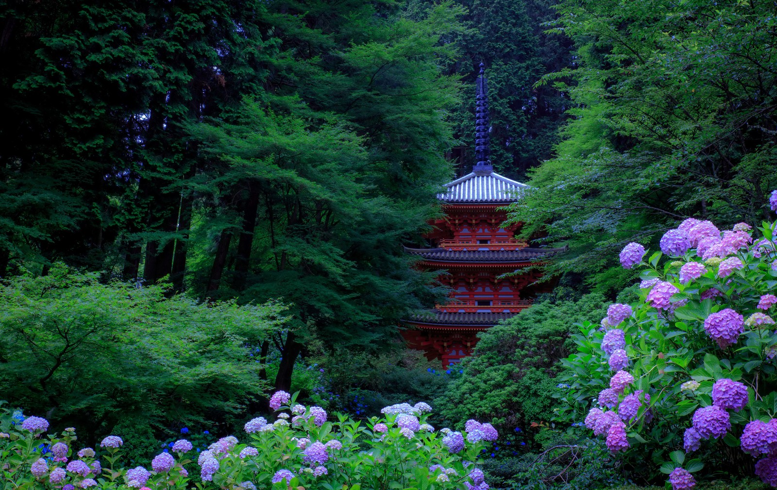 Hidrantes roxos e uma pagoda ao fundo cercada de árvores (japão, jardim, jardim japonês, arbusto, árvore)