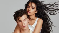 Camila Cabello und Shawn Mendes in einem stilvollen Fotoshooting.