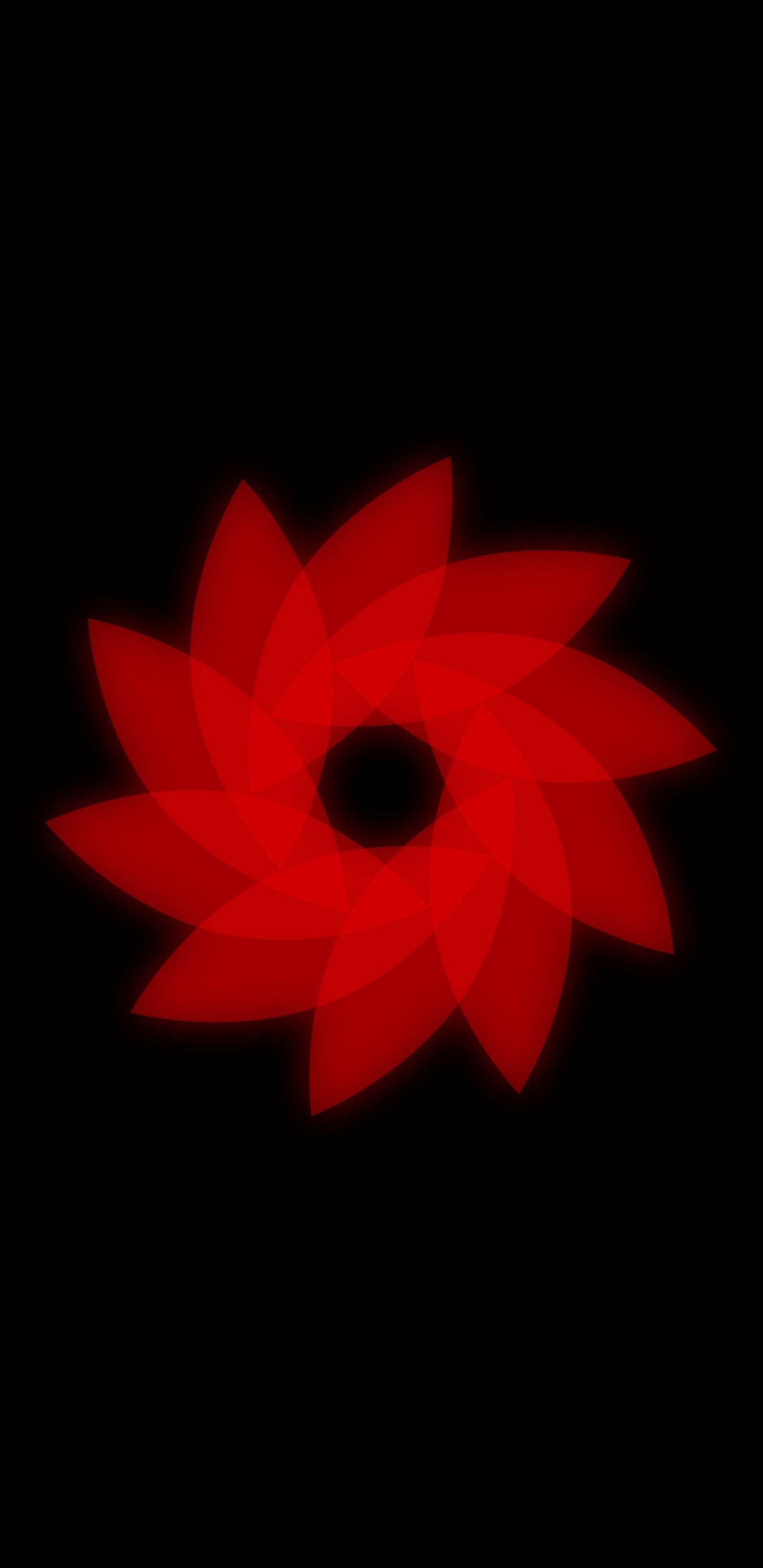 Una flor roja sobre un fondo negro (flor, pétalo, artes creativas, arte, círculo)