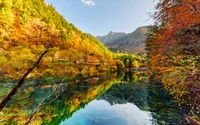 Serenidade de Outono: Lago Reflexivo Cercado por uma Natureza Vibrante no Parque Nacional Jiuzhaigou