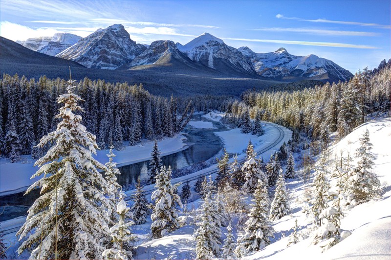 Вид на реку, протекающую через лес, покрытый снегом (банф, banff, зима, снег, гора)