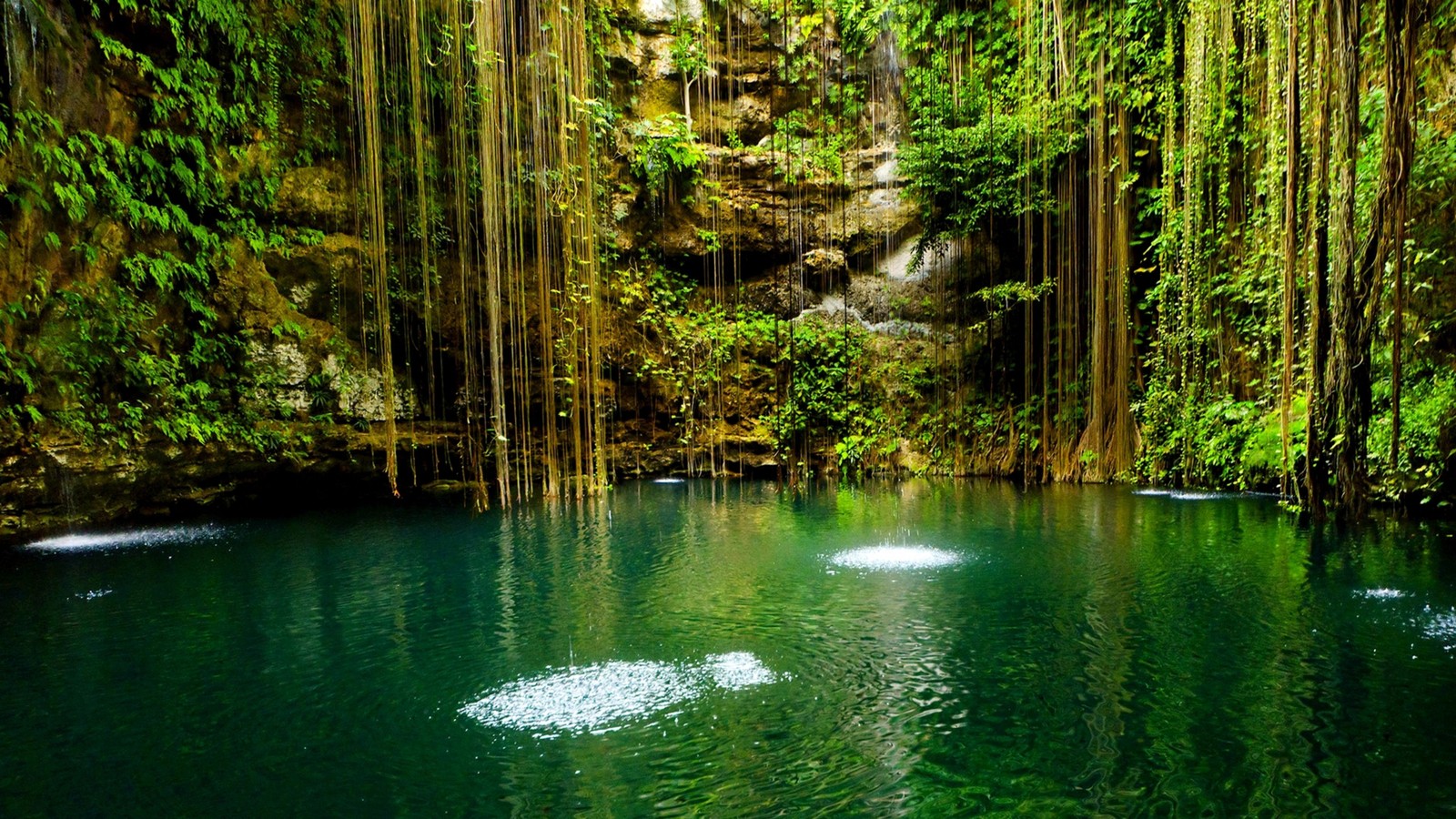 Uma vista de uma piscina com água e árvores ao fundo (natureza, corpo de água, verde, reserva natural, água)