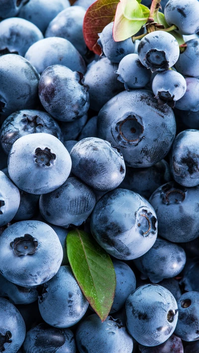 Fresh Blueberries: Nature's Superfood Delight