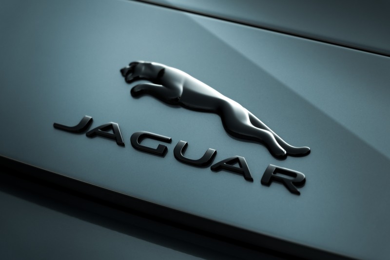 Логотип jaguar на капоте автомобиля (ягуар, логотип, пастельный зеленый, 5k, матовый)