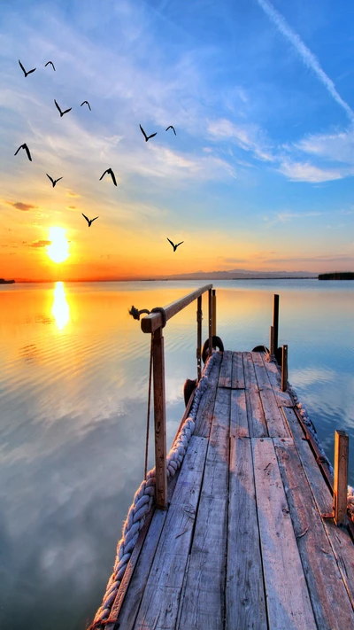 Atardecer sereno sobre aguas tranquilas con aves en vuelo