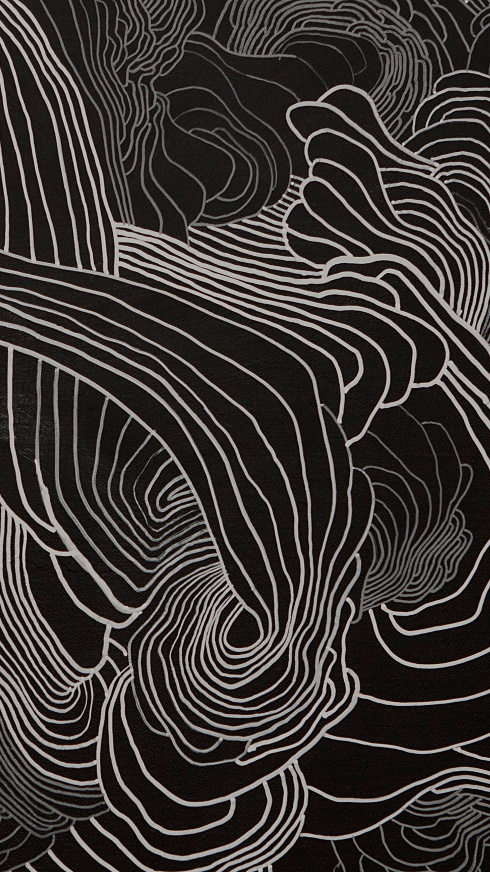 A close up of a black and white drawing of a wave (abstract, art, bnw, drawing, lines)