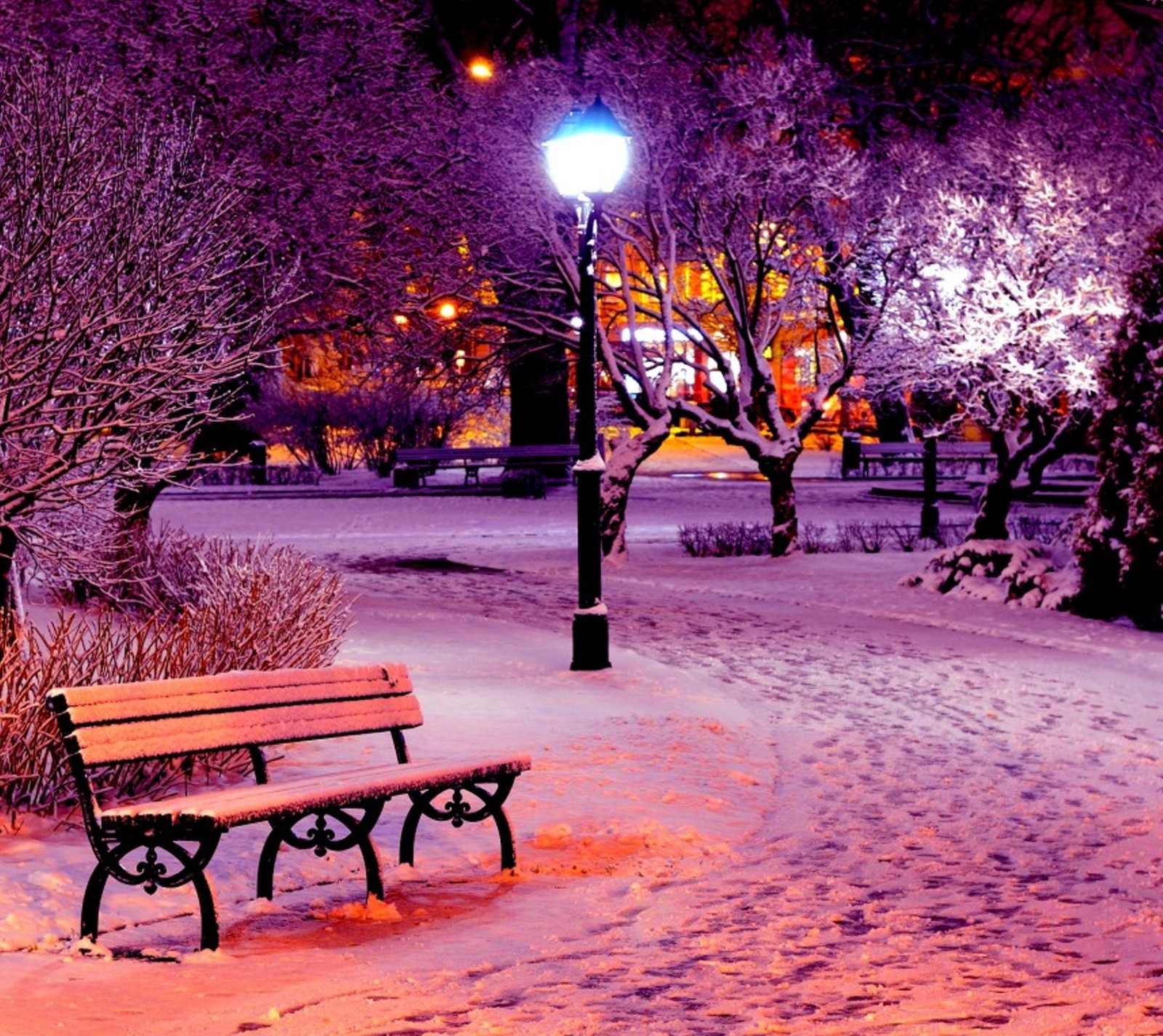 Schneebedeckte parkbank inmitten eines verschneiten parks bei nacht (nacht, park, winter)