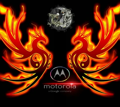 abstrato, dragão, fogo, moto, motorola