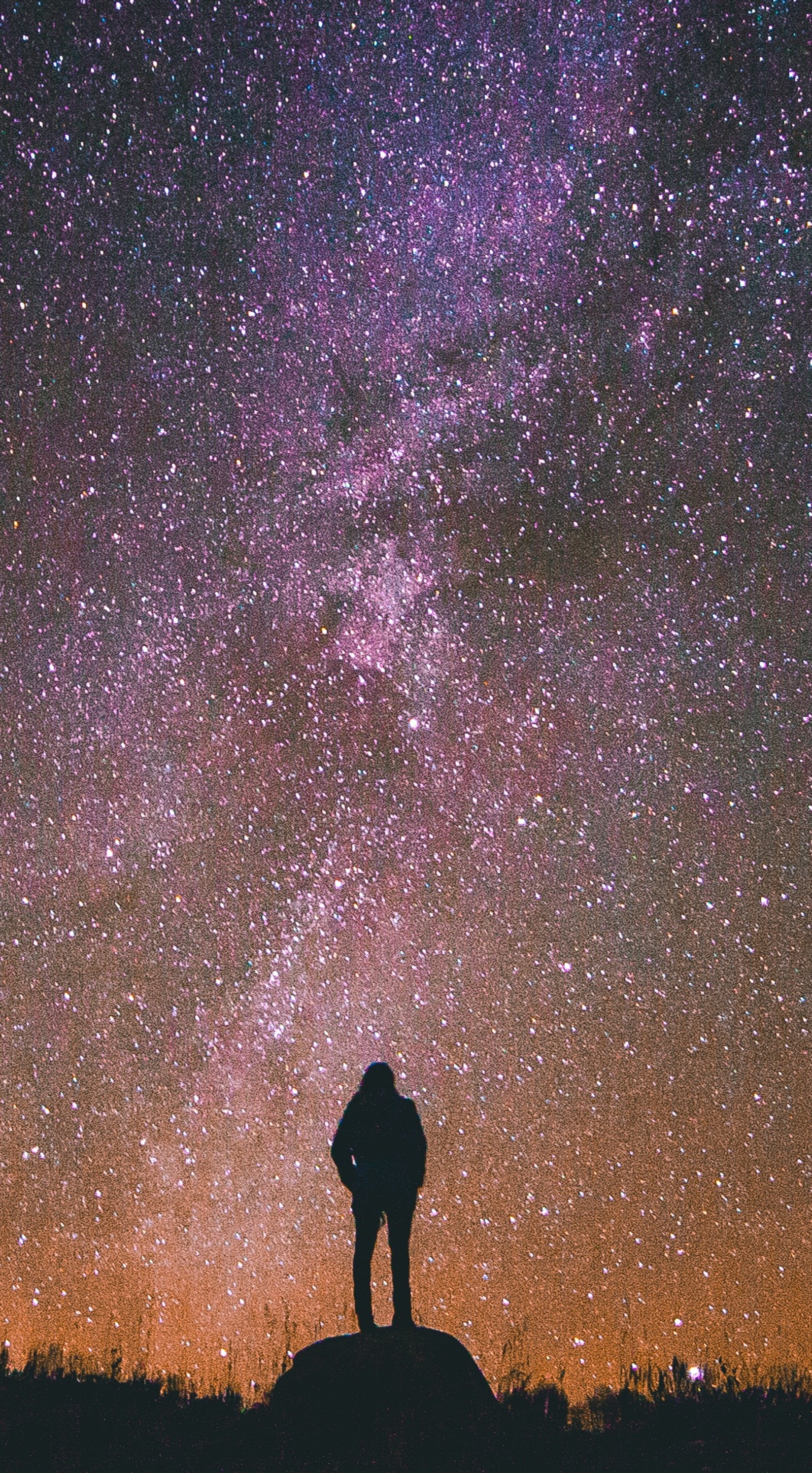 Una jirafa de pie sobre una roca mirando las estrellas en el cielo (niña, espacio)