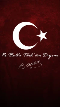 flag, turk