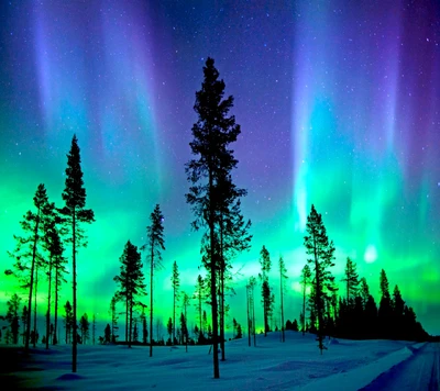 Encantadora Aurora Boreal sobre un bosque nevado