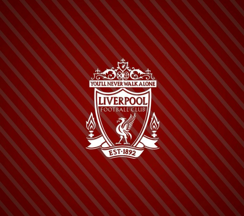 Обои футбольного клуба ливерпуль hd (лфк, lfc, ливерпуль фк, liverpool fc)