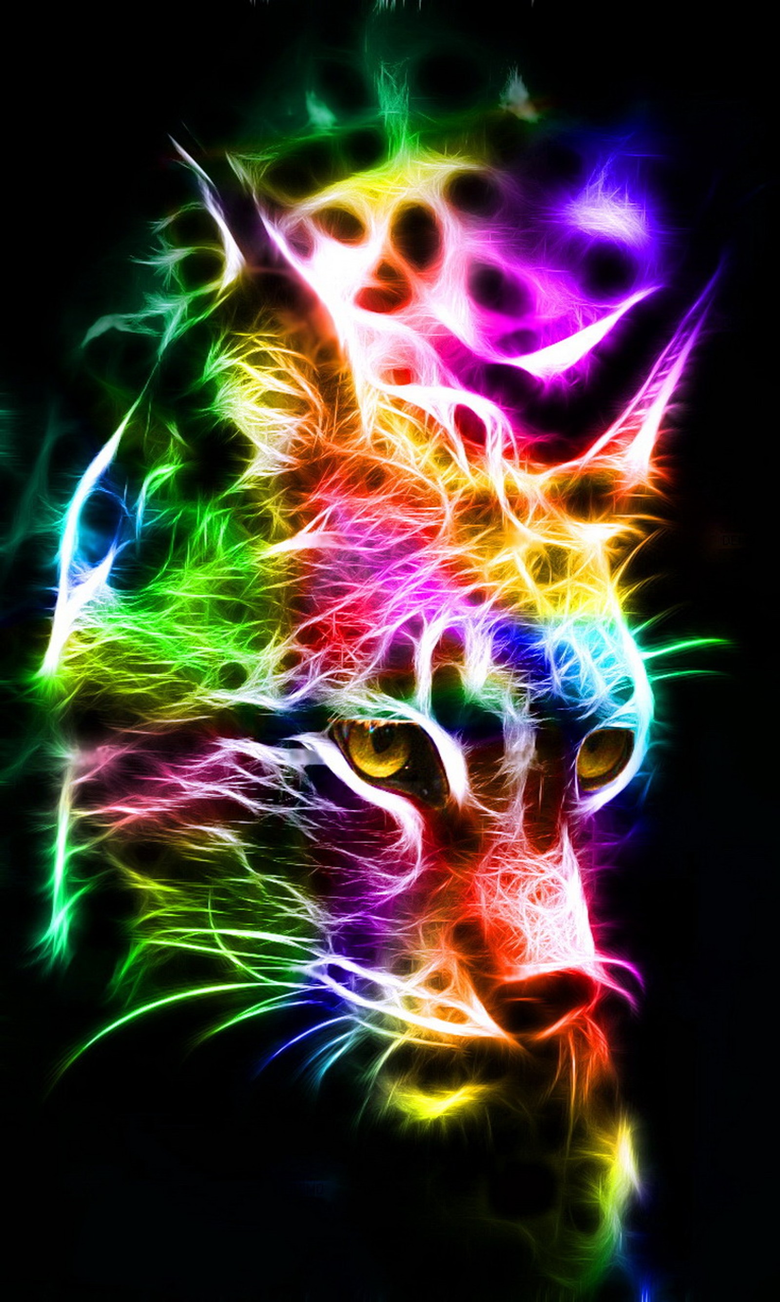 A close up of a cat with a colorful background (abstract, colorful, fractal, lynx)