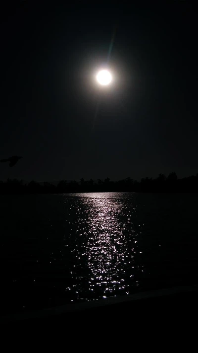 moon, ocean, sea