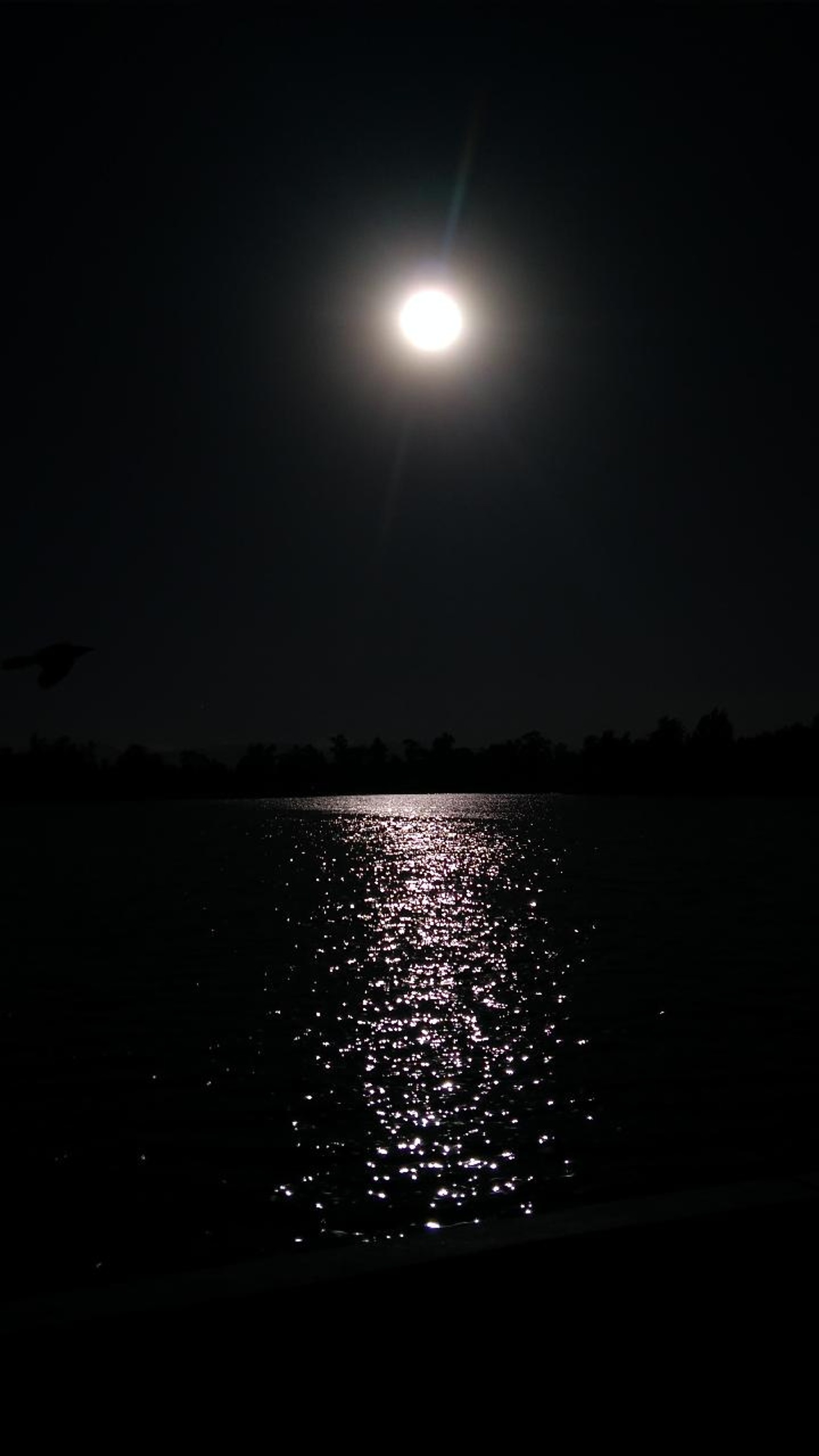 Vista aérea de uma lua cheia sobre um corpo d'água (lua, oceano, mar)