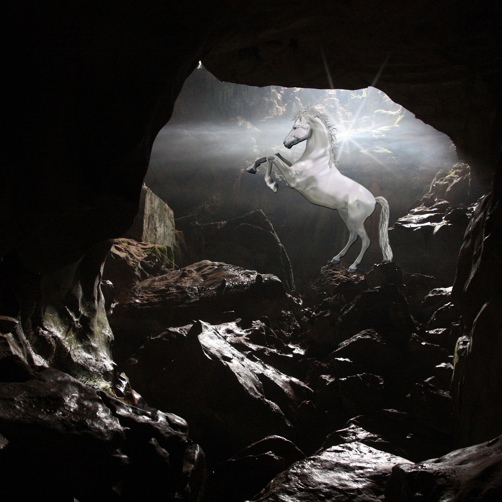 Ein weißes pferd, das in einer höhle mit steinen steht (höhle, pferd, hengst)