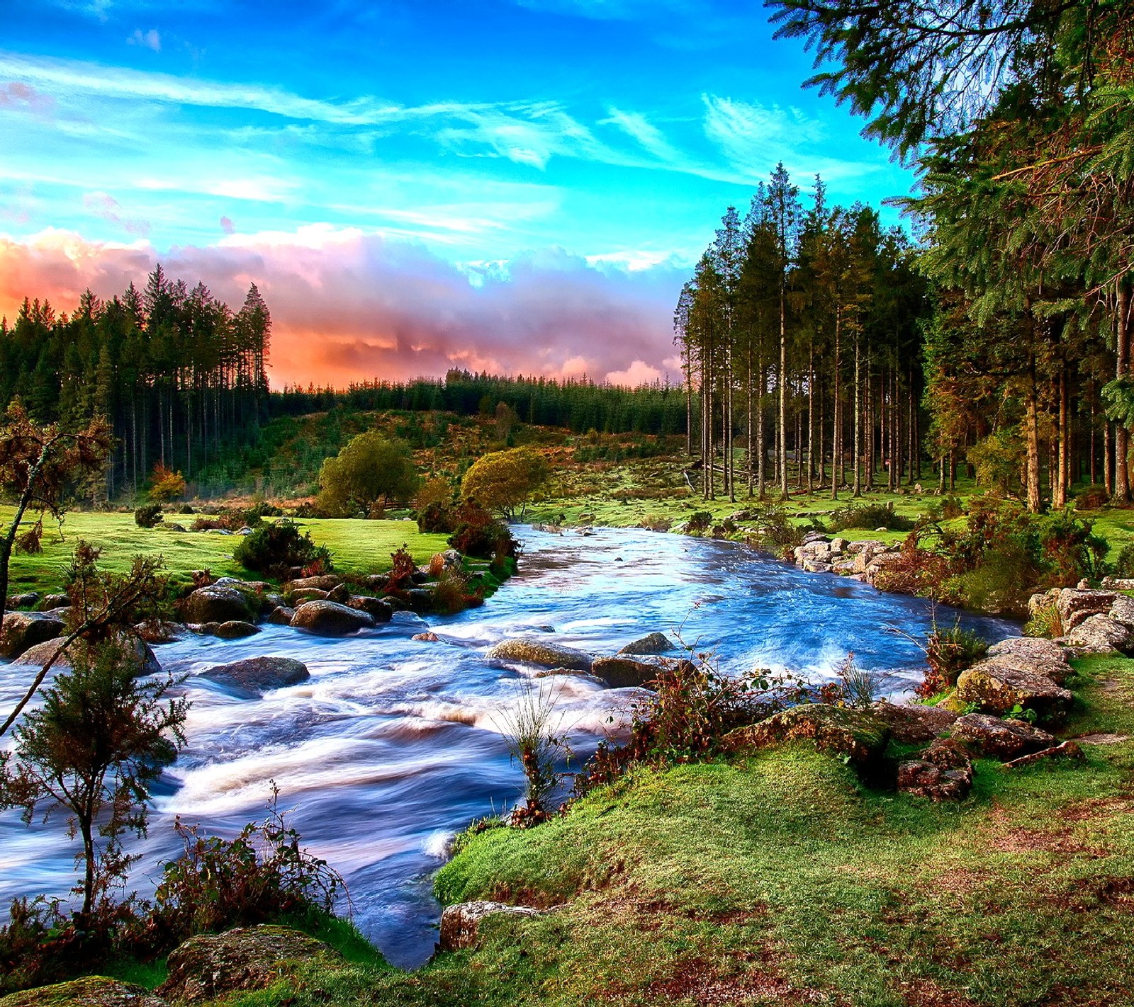 A view of a river running through a lush green forest (nature)