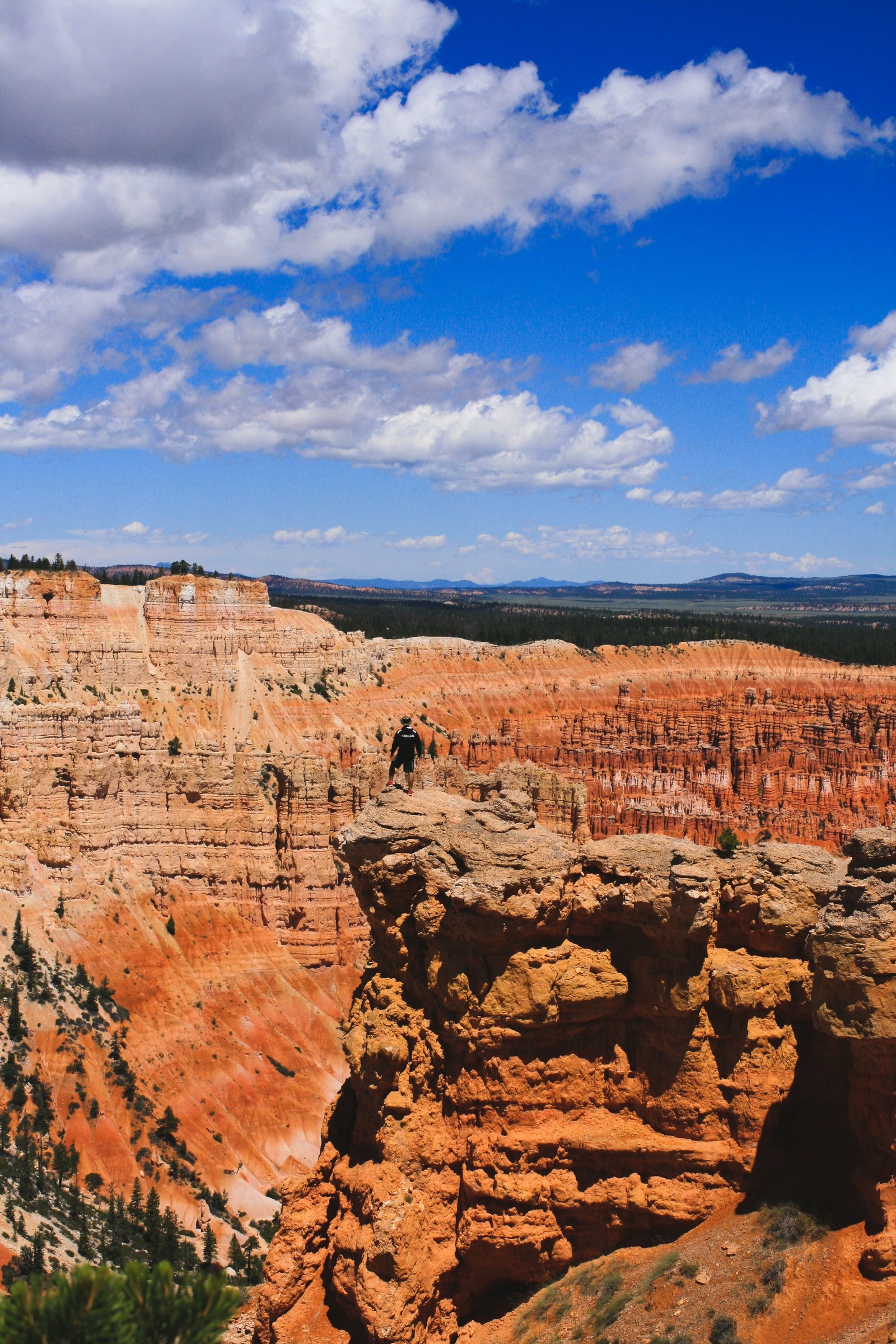 There is a man standing on a cliff overlooking a canyon (badlands, formation, rock, canyon, escarpment)