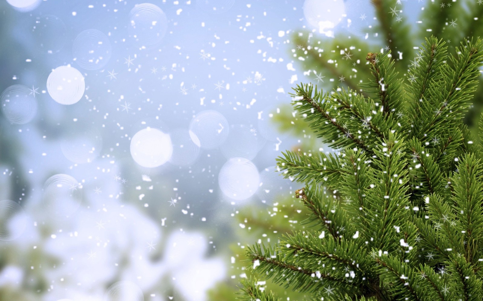 A close up of a pine tree with snow falling down (pine, fir, tree, water, branch)